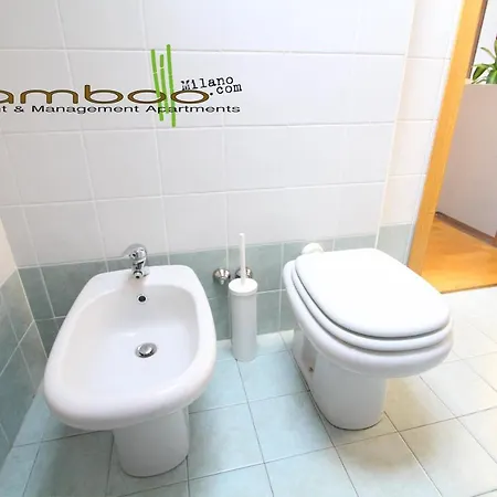 Bamboo Copernico *